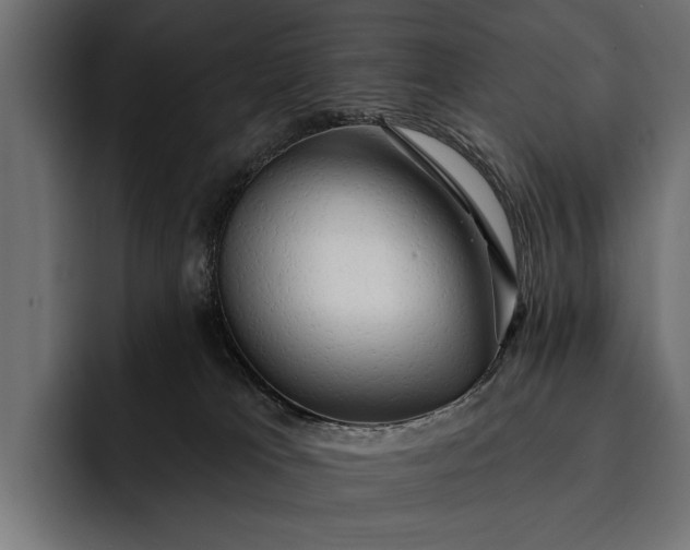 X0000093110037200710101030