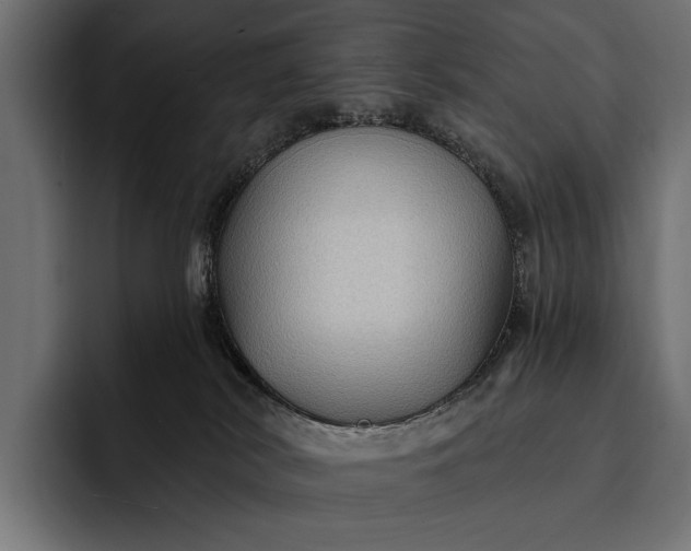 X0000093110038200710101030