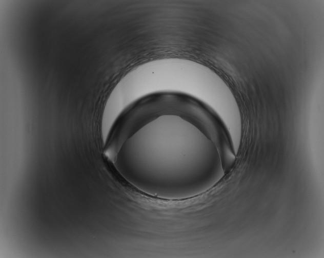 X0000093110039200710101030