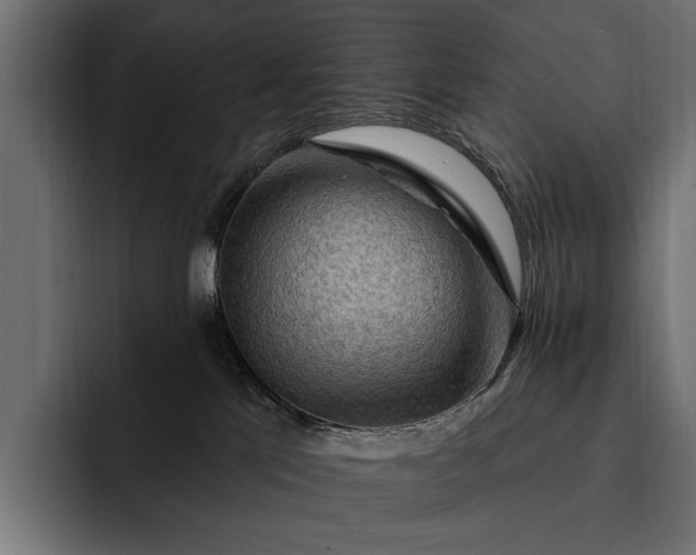 X0000093110041200710101030