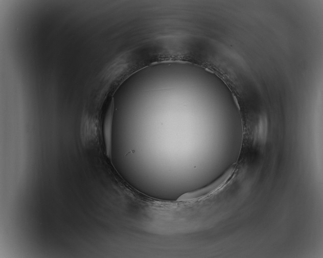 X0000093110045200710101030