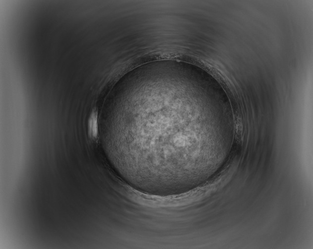 X0000093110046200710101029