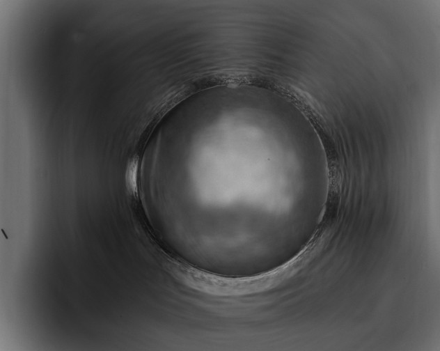 X0000093110047200710101029