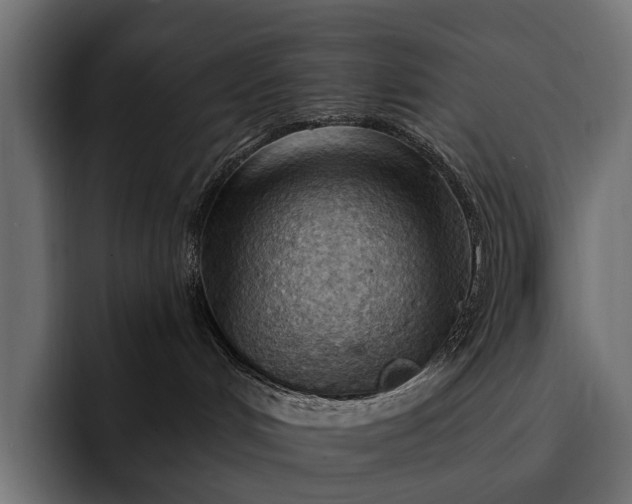 X0000093110048200710101029