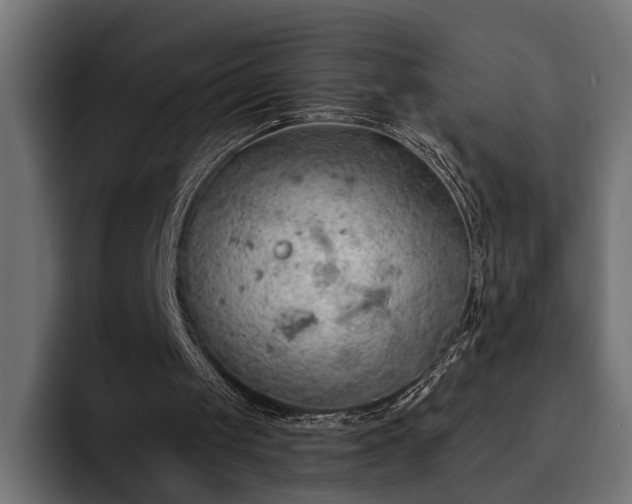 X0000093110049200710101029