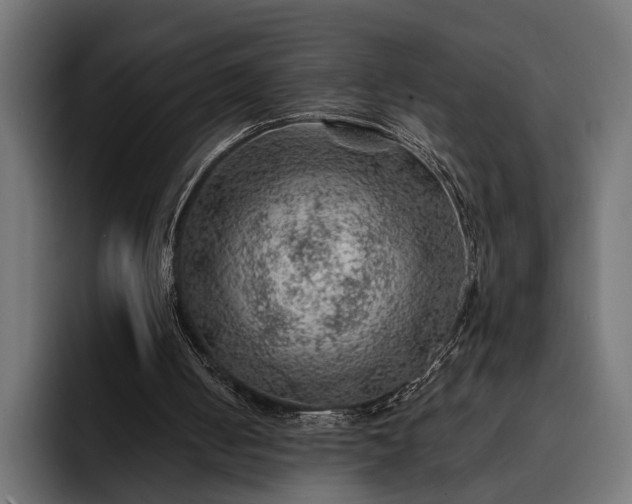 X0000093110050200710101029