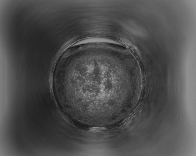 X0000093110051200710101029