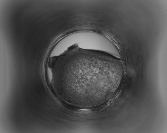 X0000093110053200710101029