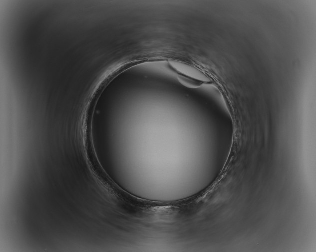 X0000093110054200710101029