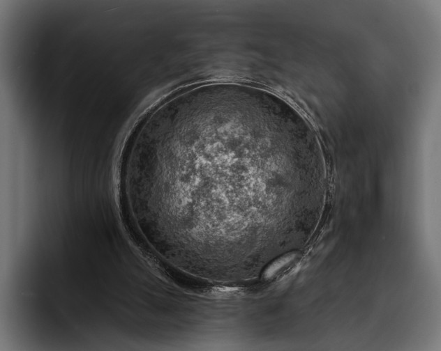 X0000093110055200710101029