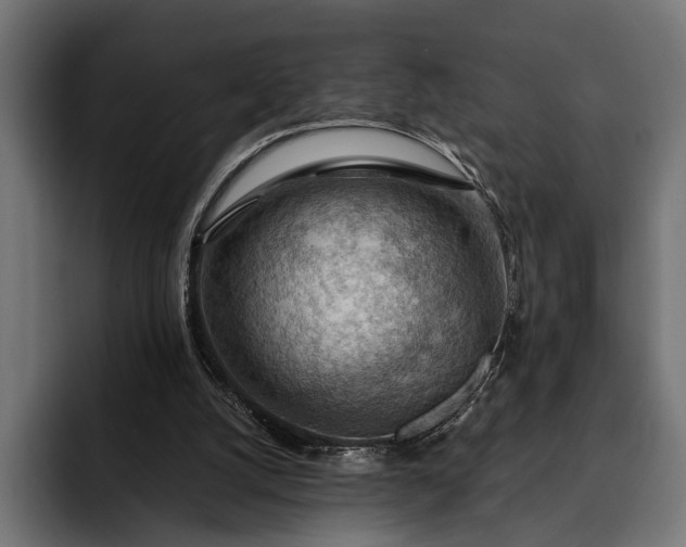 X0000093110056200710101029