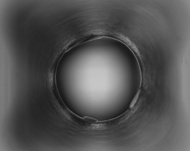 X0000093110057200710101029