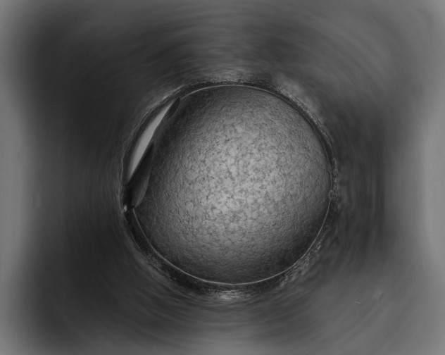 X0000093110058200710101029