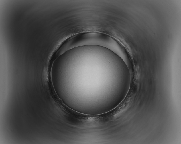 X0000093110060200710101029