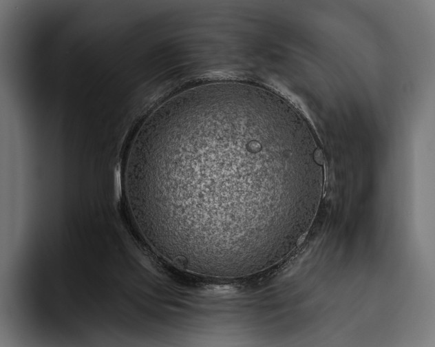 X0000093110061200710101029