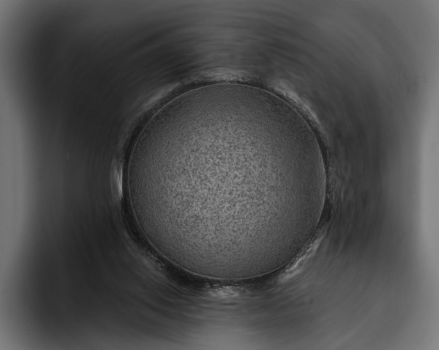 X0000093110062200710101029