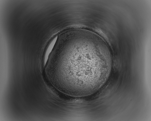 X0000093110063200710101029