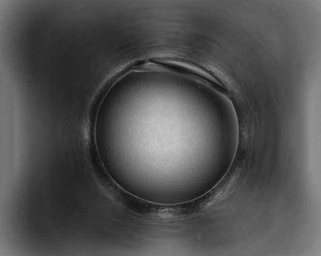 X0000093110064200710101029