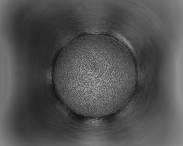 X0000093110065200710101029