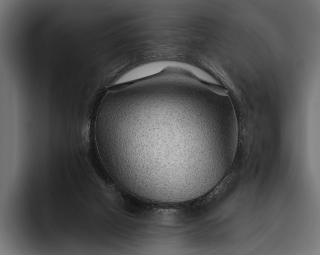 X0000093110066200710101029