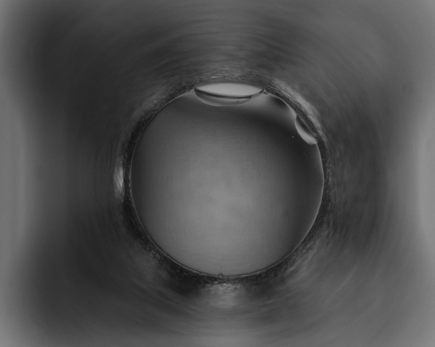 X0000093110067200710101029