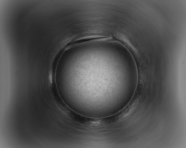 X0000093110068200710101029