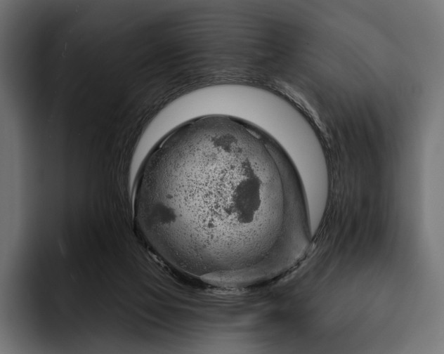 X0000093110069200710101029