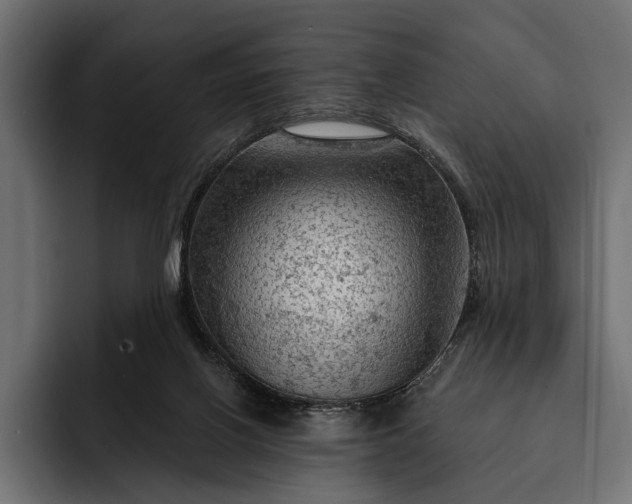 X0000093110070200710101029