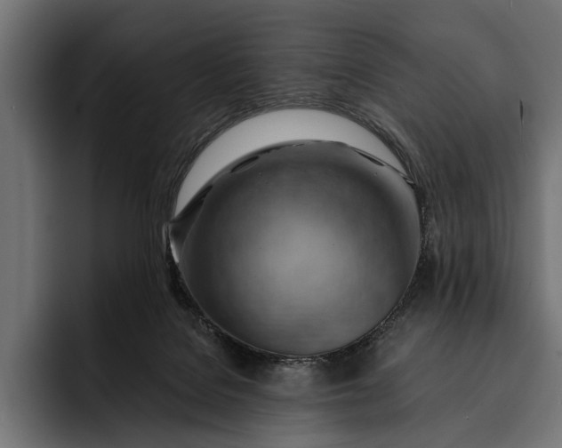 X0000093110076200710101029