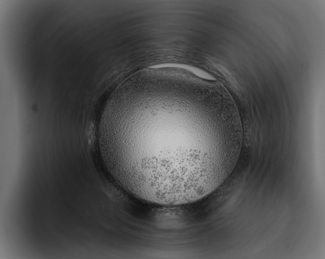 X0000093110077200710101029