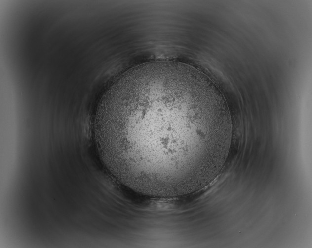 X0000093110078200710101029