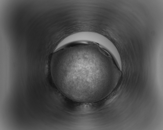 X0000093110080200710101029