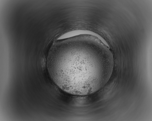 X0000093110081200710101029