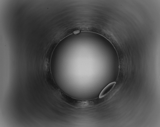 X0000093110083200710101029