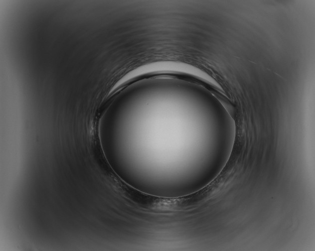 X0000093110084200710101029