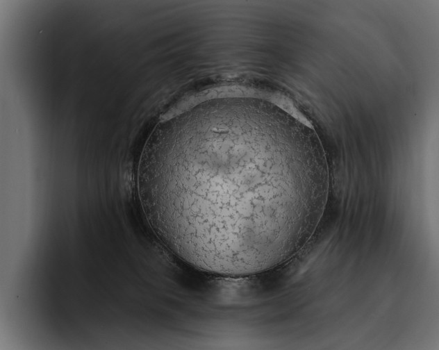 X0000093110085200710101029