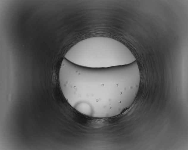 X0000093110086200710101029