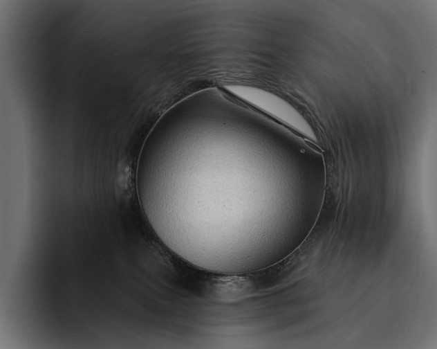 X0000093110087200710101029