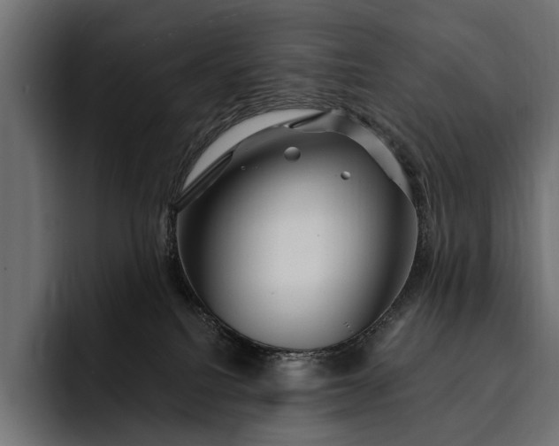 X0000093110088200710101029