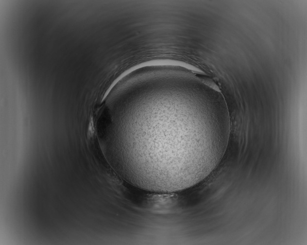 X0000093110089200710101029