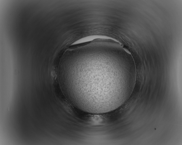 X0000093110091200710101029