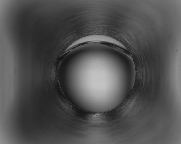 X0000093110092200710101029