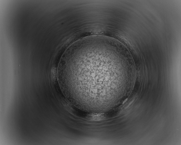 X0000093110093200710101029