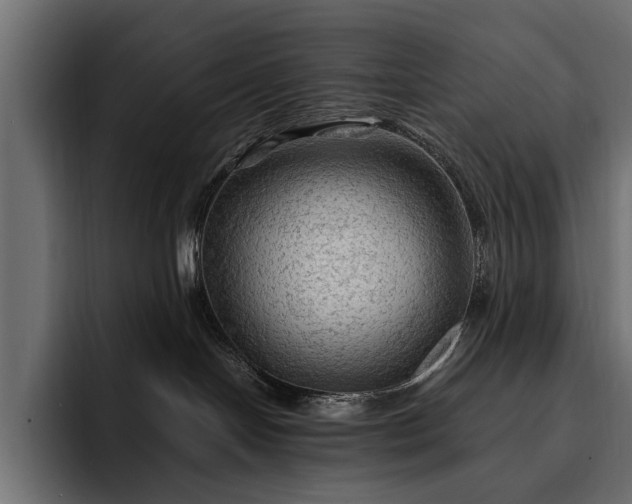 X0000093110094200710101029