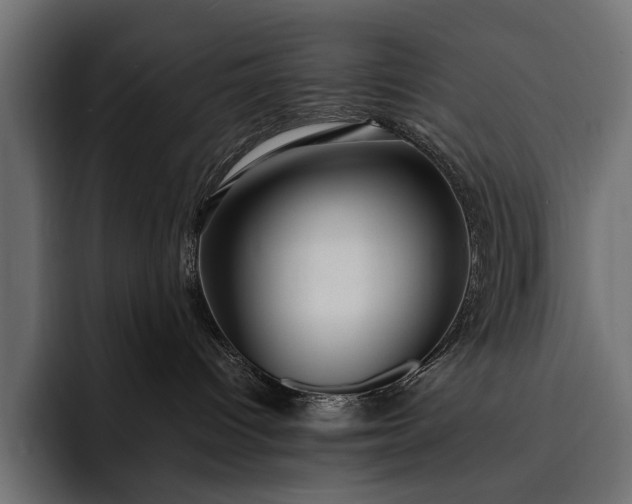 X0000093110096200710101029