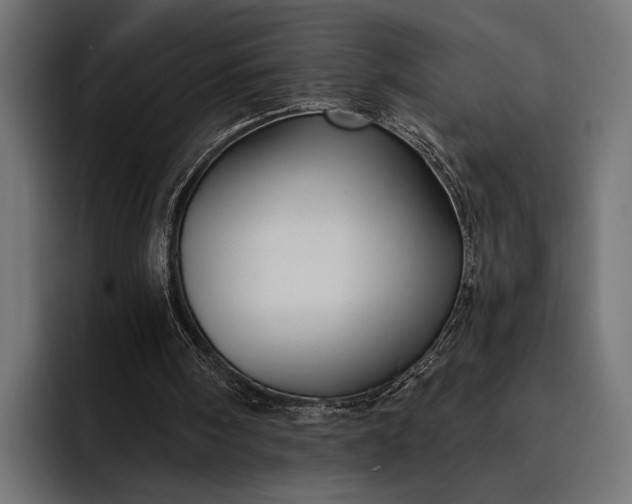 X0000093110098200710101029