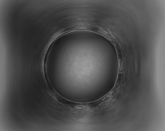 X0000093110099200710101029