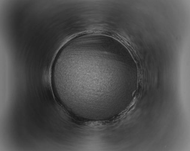 X0000093110100200710101029