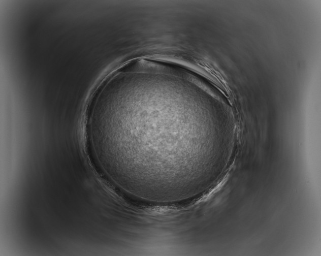 X0000093110101200710101029