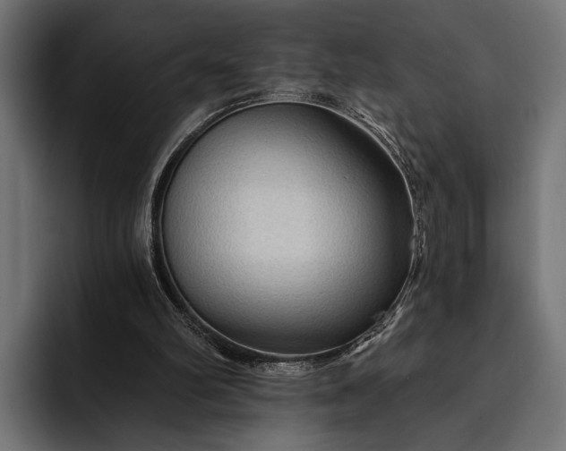 X0000093110102200710101029